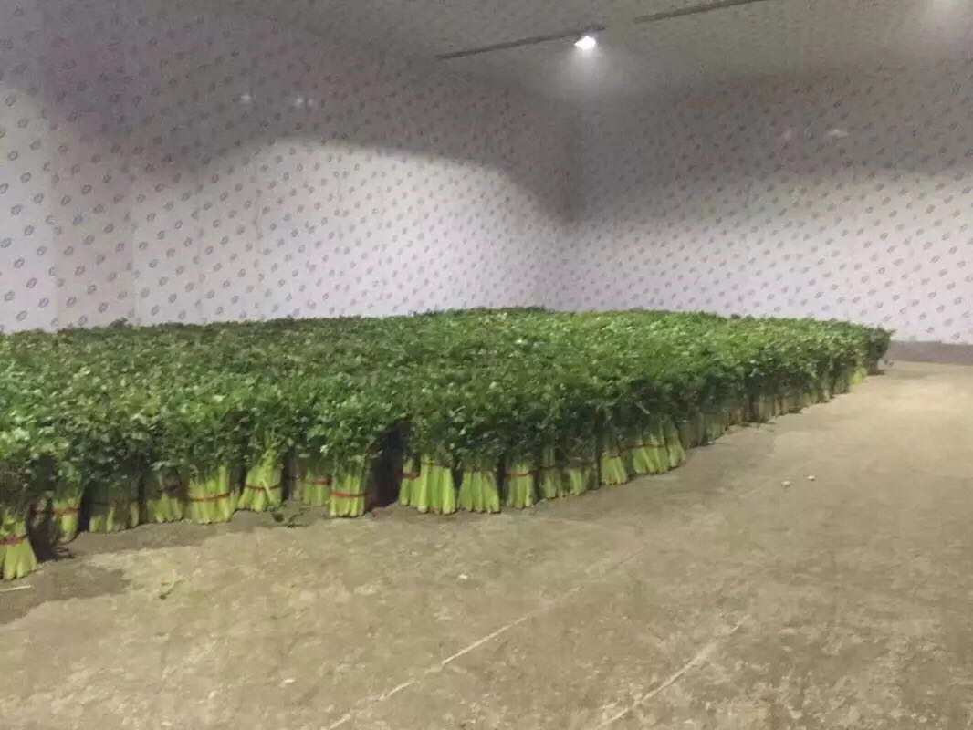 西安雷火APP下载_雷火（中国）
设备销售