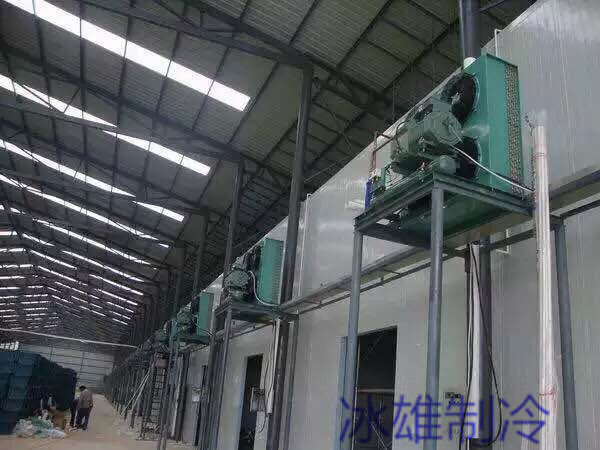 西安雷火APP下载_雷火（中国）
安装哪家好